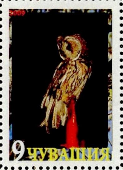 Owl
