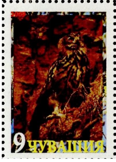 Owl