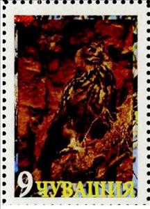 Stamp, Owl, Cinderellas,  , Animals (Fauna), Birds, Birds of Prey, Owls