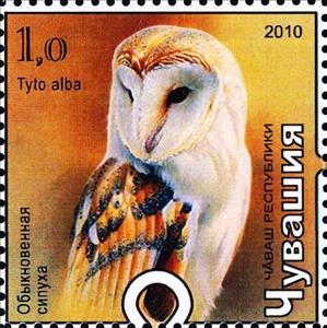 Stamp, Owl, Cinderellas,  , Animals (Fauna), Birds, Birds of Prey, Owls