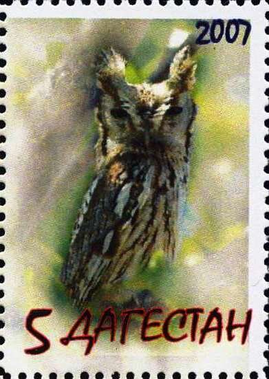 Owl