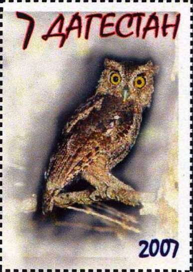 Owl