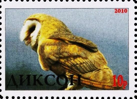 Owl