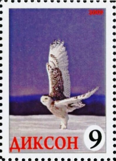 Owl