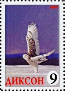 Stamp, Owl, Cinderellas,  , Animals (Fauna), Birds, Birds of Prey, Owls