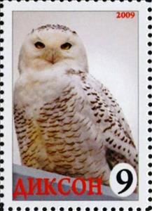 Stamp, Owl, Cinderellas,  , Animals (Fauna), Birds, Birds of Prey, Owls