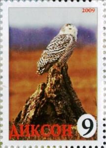Stamp, Owl, Cinderellas,  , Animals (Fauna), Birds, Birds of Prey, Owls