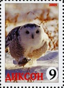 Stamp, Owl, Cinderellas,  , Animals (Fauna), Birds, Birds of Prey, Owls