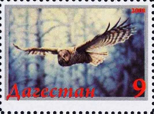 Owl