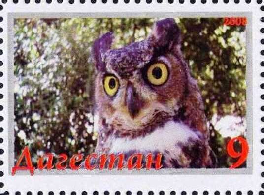 Owl