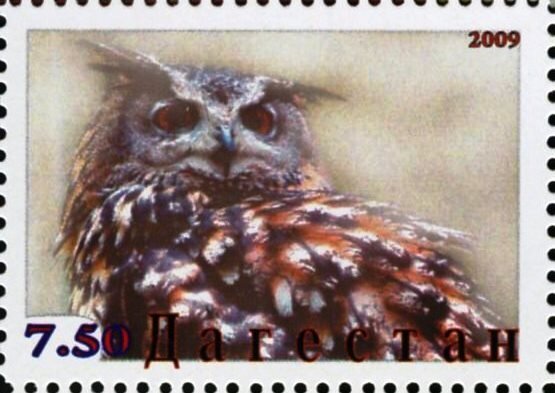 Owl