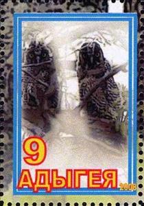 Stamp, Owl, Cinderellas,  , Animals (Fauna), Birds, Birds of Prey, Owls