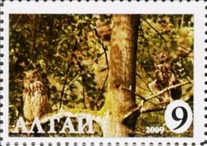 Stamp, Owl, Cinderellas,  , Animals (Fauna), Birds, Birds of Prey, Owls