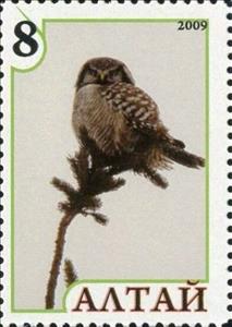 Stamp, Owl, Cinderellas,  , Animals (Fauna), Birds, Birds of Prey, Owls