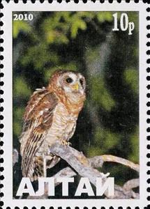 Stamp, Owl, Cinderellas,  , Animals (Fauna), Birds, Birds of Prey, Owls