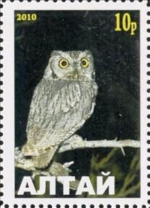 Stamp, Owl, Cinderellas,  , Animals (Fauna), Birds, Birds of Prey, Owls