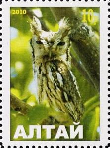 Stamp, Owl, Cinderellas,  , Animals (Fauna), Birds, Birds of Prey, Owls