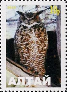 Stamp, Owl, Cinderellas,  , Animals (Fauna), Birds, Birds of Prey, Owls