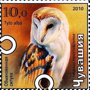 Stamp, Owl, Cinderellas,  , Animals (Fauna), Birds, Birds of Prey, Owls