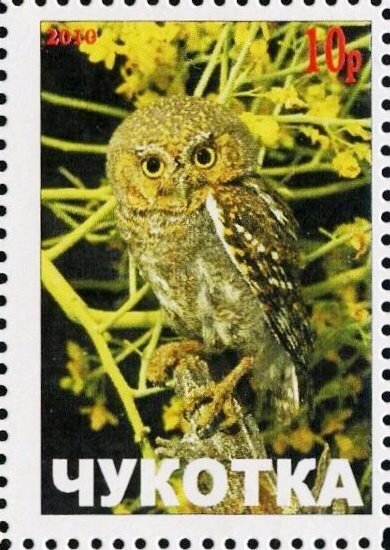 Owl
