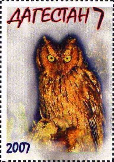 Owl