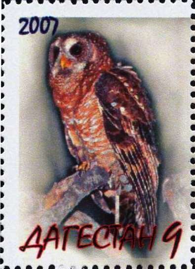 Owl
