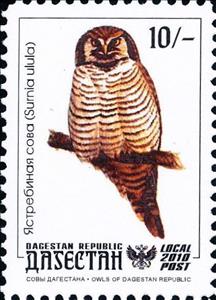 Stamp, Owl, Cinderellas,  , Animals (Fauna), Birds, Birds of Prey, Owls