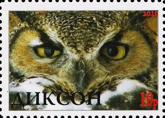 Owl