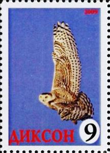 Stamp, Owl, Cinderellas,  , Animals (Fauna), Birds, Birds of Prey, Owls