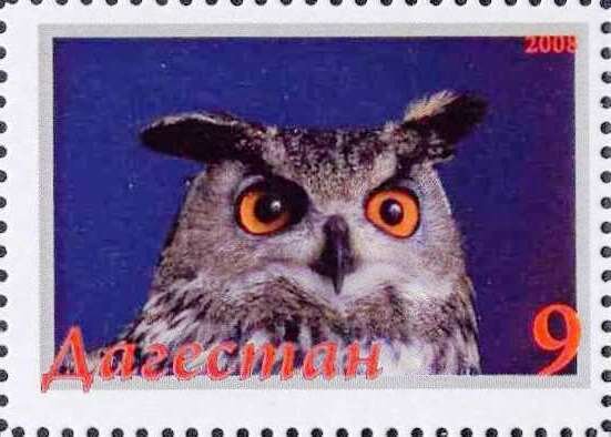 Owl