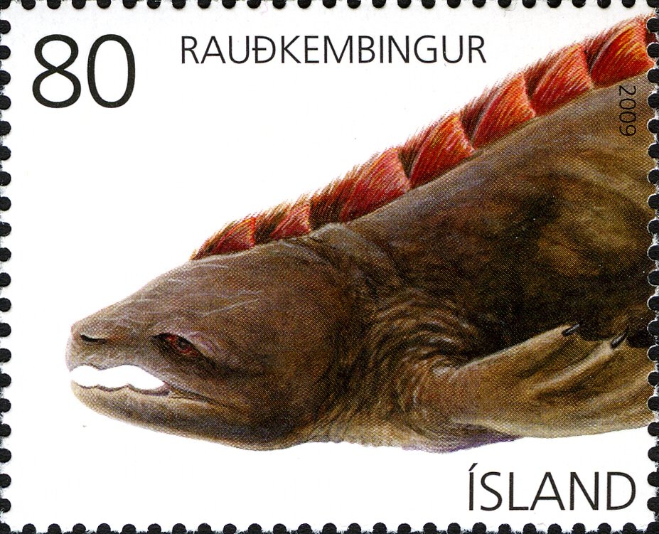 Raudhkembingur