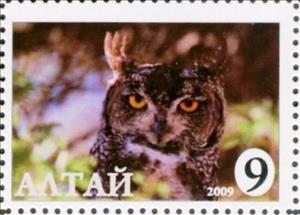 Stamp, Owl, Cinderellas,  , Animals (Fauna), Birds, Birds of Prey, Owls