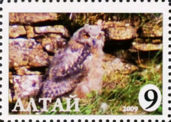 Owl