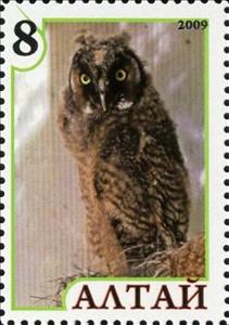 Stamp, Owl, Cinderellas,  , Animals (Fauna), Birds, Birds of Prey, Owls