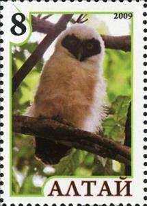 Stamp, Owl, Cinderellas,  , Animals (Fauna), Birds, Birds of Prey, Owls