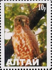 Stamp, Owl, Cinderellas,  , Animals (Fauna), Birds, Birds of Prey, Owls