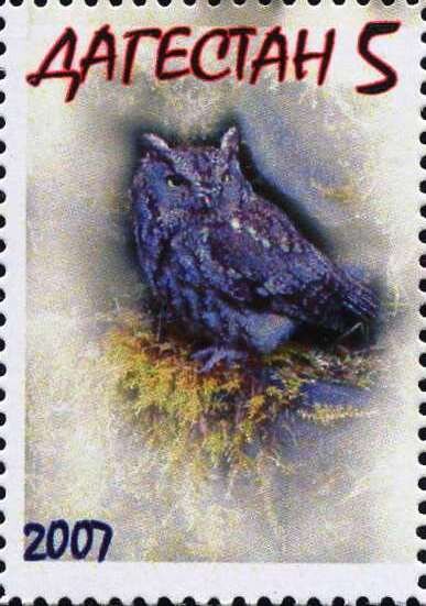 Owl