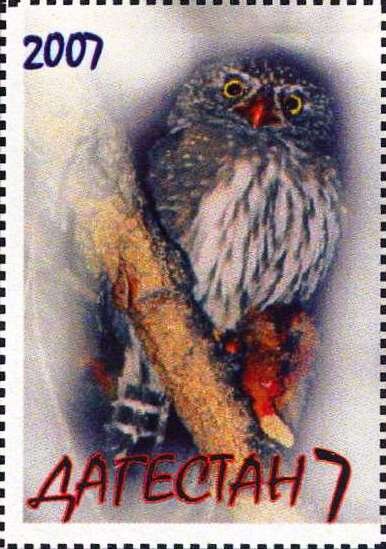 Owl