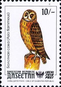 Stamp, Owl, Cinderellas,  , Animals (Fauna), Birds, Birds of Prey, Owls