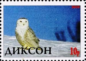 Stamp, Owl, Cinderellas,  , Animals (Fauna), Birds, Birds of Prey, Owls
