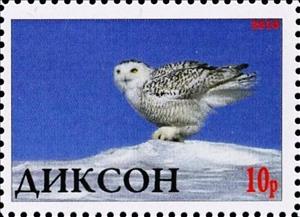 Stamp, Owl, Cinderellas,  , Animals (Fauna), Birds, Birds of Prey, Owls