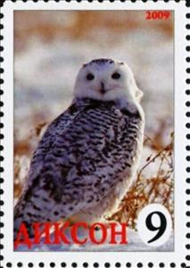 Stamp, Owl, Cinderellas,  , Animals (Fauna), Birds, Birds of Prey, Owls