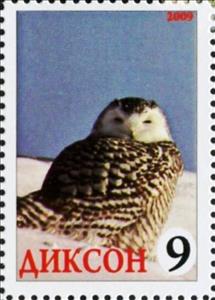 Stamp, Owl, Cinderellas,  , Animals (Fauna), Birds, Birds of Prey, Owls