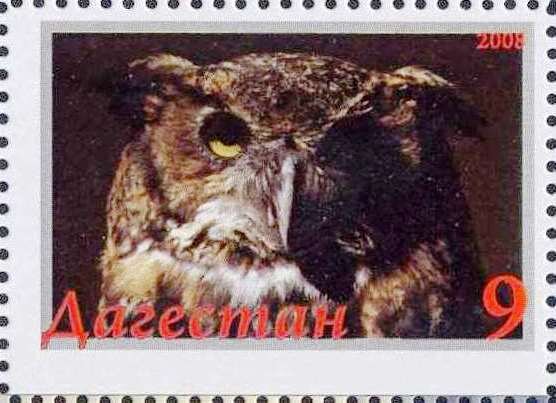Owl