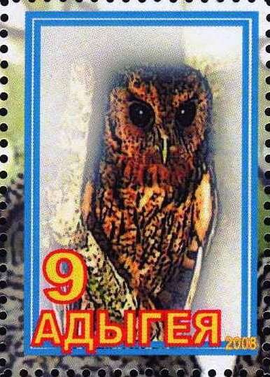 Owl