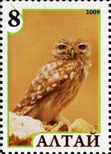 Stamp, Owl, Cinderellas,  , Animals (Fauna), Birds, Birds of Prey, Owls
