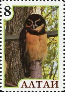 Stamp, Owl, Cinderellas,  , Animals (Fauna), Birds, Birds of Prey, Owls