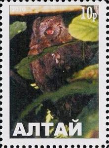 Stamp, Owl, Cinderellas,  , Animals (Fauna), Birds, Birds of Prey, Owls
