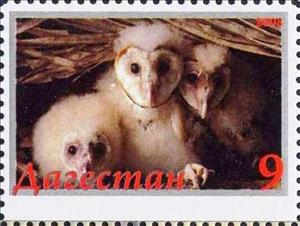 Stamp, Owls, Cinderellas,  , Animals (Fauna), Birds, Birds of Prey, Owls
