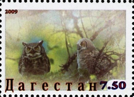 Owls